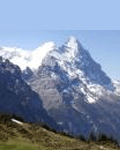 Move_To_Switzerland